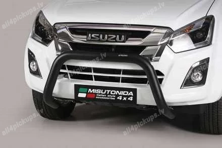 ПЕРЕДНЯЯ ДУГА А ФОРМЫ MISUTONIDA