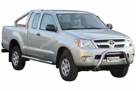 ПЕРЕДНЯЯ ДУГА А ФОРМЫ MISUTONIDA