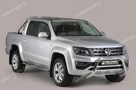 ПЕРЕДНЯЯ ДУГА А ФОРМЫ MISUTONIDA