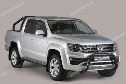 ПЕРЕДНЯЯ ДУГА А ФОРМЫ MISUTONIDA