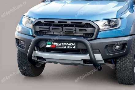 ПЕРЕДНЯЯ ДУГА А ФОРМЫ MISUTONIDA