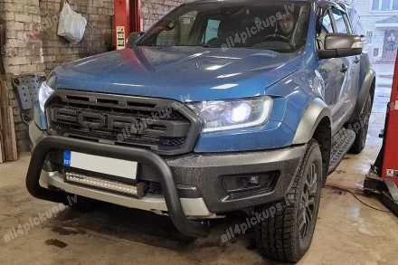 ПЕРЕДНЯЯ ДУГА А ФОРМЫ MISUTONIDA