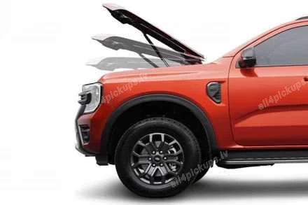 КОМПЛЕКТ ДЕМПФЕРОВ КАПОТА AEROKLAS